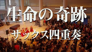 【サックス四重奏】Libera『生命の奇跡』Song of Life  Cattleya Saxophone Quartet 特別版 [upl. by Robaina696]