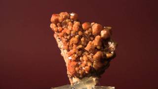 VANADINITE JC Holmes Claim Arizona [upl. by Sivat]