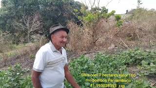 sítio com 7 hectares valor 160 mil fica em pombos Pernambuco 81993028393 zap [upl. by Paapanen]