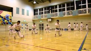 日本空手道玄守会「三才」 Japan Karatedo Genshukai Sansai Kata [upl. by Naicad]