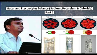 Water and Electrolyte balance  Part 2 Sodium Potassium and Chloride [upl. by Haldeman]