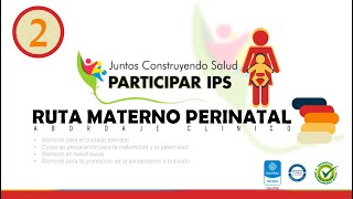 Resolución 3280  Ruta Materno Perinatal  Video 2 [upl. by Schoenfelder]