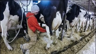 Alexandra Colbert  Ferme laitière Maréjaco Inc SainteEulalie QC 2016 [upl. by Ahsienat]