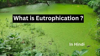 Eutrophication in hindi [upl. by Initsed87]