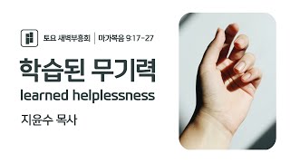 2024 빛내리 교회 토요 새벽부흥회학습된 무기력 learned helplessness마가복음 91727지윤수 목사 [upl. by Hsakaa]