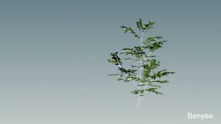 Houdini plant destruction test01 [upl. by Litnahc]