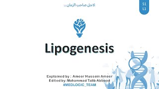 Lipogenesis Fatty Acid synthesis Part 1 [upl. by Ravahs]