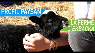 Profil Paysan 1  La Permaculture en Suède [upl. by Griseldis569]