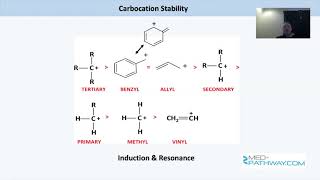 Medpathway MCAT Test Prep Organic Chemistry Review [upl. by Enaitsirk]