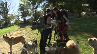 Der Verein Dogtrekking amp More im ORF [upl. by Angus]