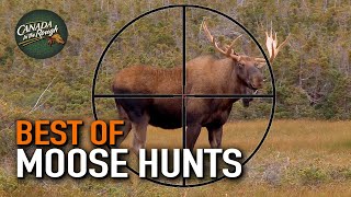 20 Moose Hunts in 20 Minutes ULTIMATE Moose Hunting Compilation  BEST OF [upl. by Etsirk682]