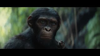 La Planète des singes Les origines  César Noooon VFQ HD [upl. by Yerggoeg]