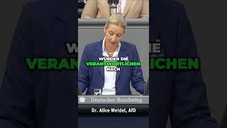 Grenzen dicht Sicherheit für Bürger in Deutschland wirtschaft [upl. by Russian]