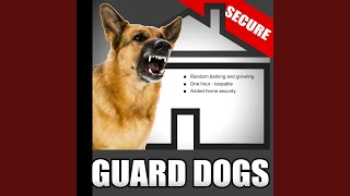 Guard Dogs – Random Barking and Growling Dog Sounds for Added Home Security When the House Is [upl. by Joy]