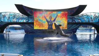 One Ocean Opening Day SeaWorld Orlando [upl. by Ekal]