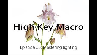 How to do High Key Macro  Mastering Light with simple equipment [upl. by Nicks]