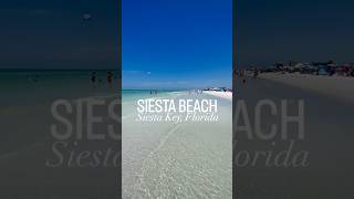 Siesta Beach  Siesta Key 🏝️ Things To Do Tampa Bay [upl. by Qerat415]