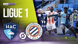 Le Havre vs Montpellier  LIGUE 1 HIGHLIGHTS  033124  beIN SPORTS USA [upl. by Moon]