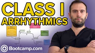 Class I Antiarrhythmics  HIGHYIELD CARDIOLOGY  USMLE STEP 1 [upl. by Yerocaj]