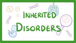 GCSE Biology  Why We Inherit Diseases From Our Family  Polydactyly amp Cystic Fibrosis 75 [upl. by Lynne691]