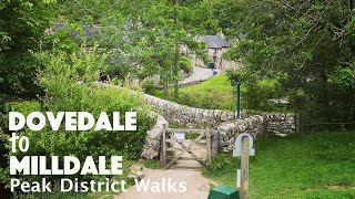 Dovedale to Milldale Walkthrough  Peak District Walks  July 2020 [upl. by Misak]