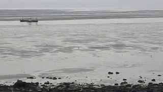 Dee Estuary Fishing Boats amp Birds off Caldy Beach Wirral England UK [upl. by Iglesias]