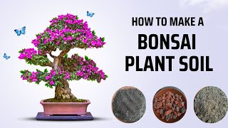 How to make Bonsai plant soil for Beginners Easily [upl. by Airot]