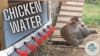 Chicken Watering Tour and Install of my gravity fed system [upl. by Naanac]