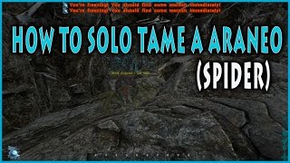 How To Solo Tame A Araneo  Aka Spider In Ark Survival Evolved [upl. by Leiand]