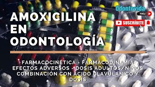 Amoxicilina en Odontología [upl. by Aicirtak514]