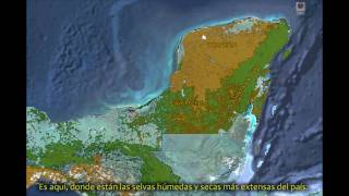 CONABIO  Calakmul  La reserva tropical más grande e importante de México [upl. by Anaic]