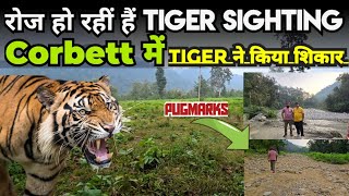 Roz ho rahi hai corbett mei Tiger sighting  Tiger ne kiya tha kill [upl. by Tsenre]