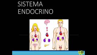 Psiconeuroendocrinología 2024 10 25 Arco Final Sistema Endócrino [upl. by Zeuqcaj]