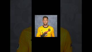 SAVES  Maarten Stekelenburg football [upl. by Ydur405]