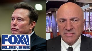 This is the power Elon Musk has O’Leary loves ‘very contentious’ plan to cut spending [upl. by Rabiah]