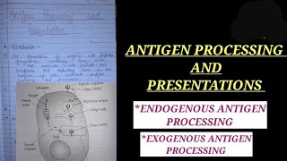 ANTIGEN PROCESSING AND PRESENTATIONS IN HINDI exogenousantigenpathway ZOOLOGYNOTES zoology vbu [upl. by Dola205]