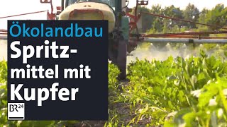 Biobauern dürfen Pflanzenschutzmittel spritzen Umstrittener Einsatz von Kupfer  Abendschau  BR24 [upl. by Audrit]