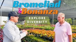 Bromeliad Bonanza Exploring Diversity Growth Stages and Ground Cover Varieties [upl. by Milas278]