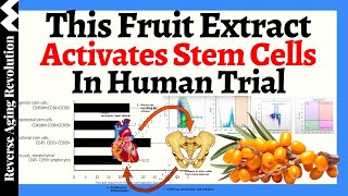 THIS Fruit Extract ACTIVATES 4 Major Types of Stem Cells amp RELIEVES Dry Eyes In HUMAN TRIALS [upl. by Hui260]