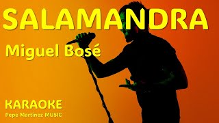 Salamandra Miguel Bosé Karaoke [upl. by Ramled337]