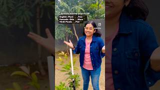 Plant and tree in Kannada Kannada learning 61100 Kannada vlogsKannadayoutubeshorts [upl. by Sreip]