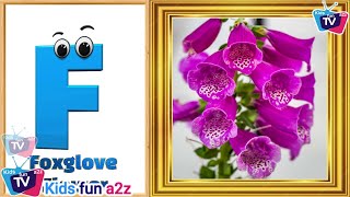 Flowers ABC Song for Kids  Phonics for Kids  English Alphabet Letters [upl. by Muffin]