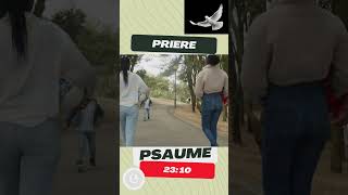 PRIER AVEC PSAUME 23 [upl. by Vtarj748]