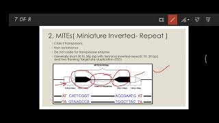 MITEs  Miniature Inverted Repeat Transposable Element Transposons Jumping genes [upl. by Jillian]