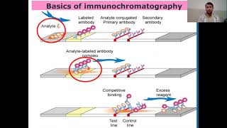 Immunochromatographic Assay or Technique I Guide to Immunochromatographic Assay [upl. by Lind]