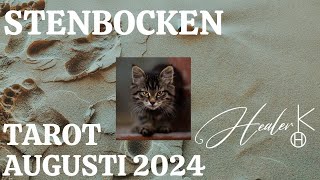 Stenbocken ♑️ Augusti 2024 Tarot  Healer K [upl. by Mages621]