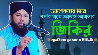 আল্লাহ তায়ালার জিকির  মুফতি মাহবুব আলম সিদ্দিকী New waz 2024  Mahbub Alam Siddiki  jikir [upl. by Dorry]