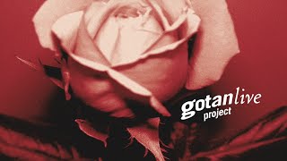 Gotan Project Live Full Album [upl. by Oiramat]