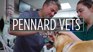 ezyVet Customer Story  Pennard Vets Sevenoaks [upl. by Artema]