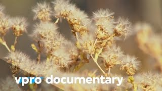 Seeds battles  The Doomsday vault  VPRO documentary  2013 [upl. by Ydac]